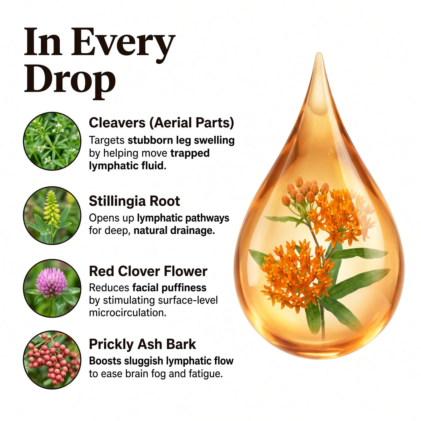 Lymphatic Drainage Drops